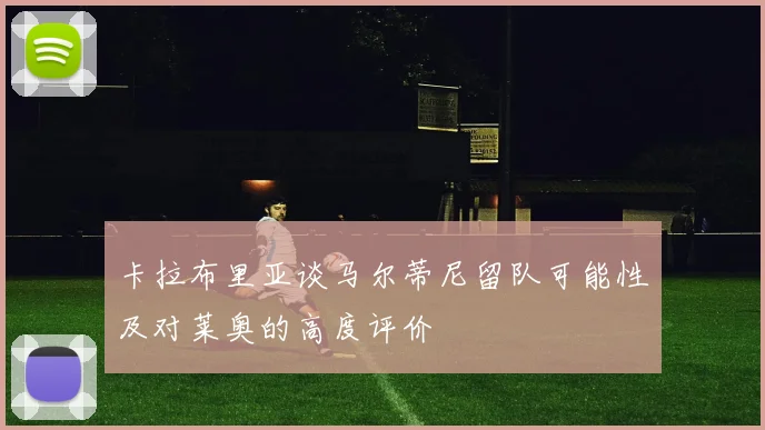 卡拉布里亚谈马尔蒂尼留队可能性及对莱奥的高度评价